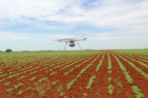 Dron del proyecto imaPing sobrevolando un campo de cultivo (CSIC)