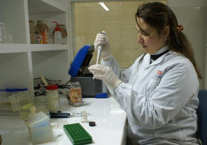 La secuenciación del genoma de Acidovorax avenae, permite profundizar el conocimiento sobre esta bacteria