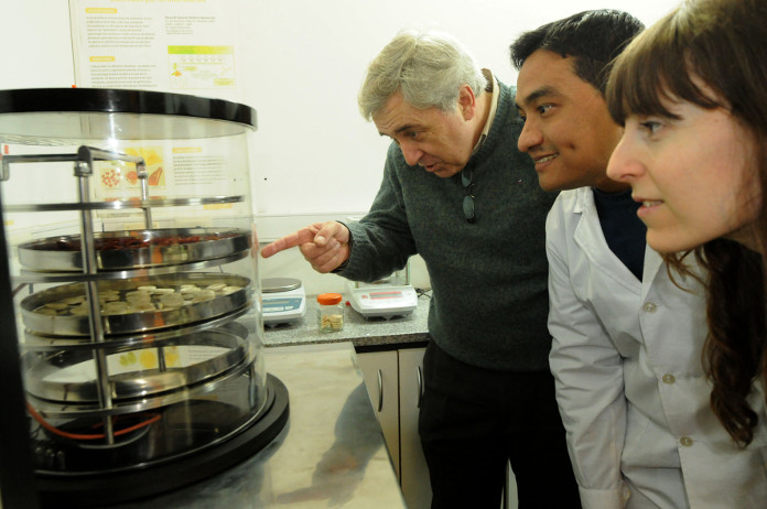 Equipo de investigadores y especialistas de la UNLP que trabajan en la planta de guisos deshidratados