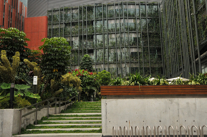 ventanas y plantas