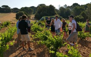 Summer Wine Camp