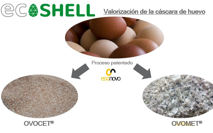 ECO SHELL