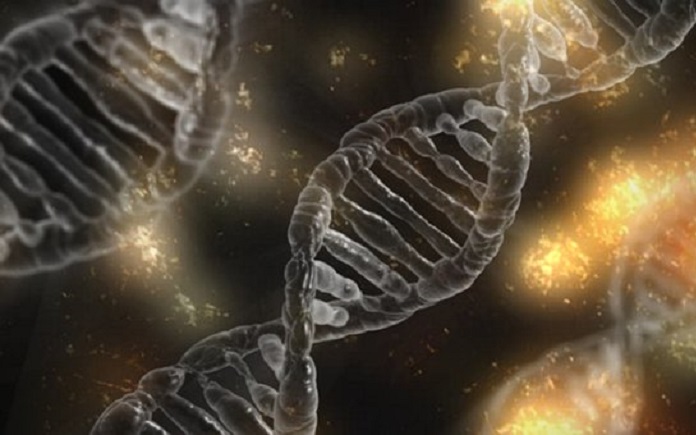 biotecnologia y Ley de Patentes
