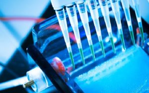 diagnostico in vitro