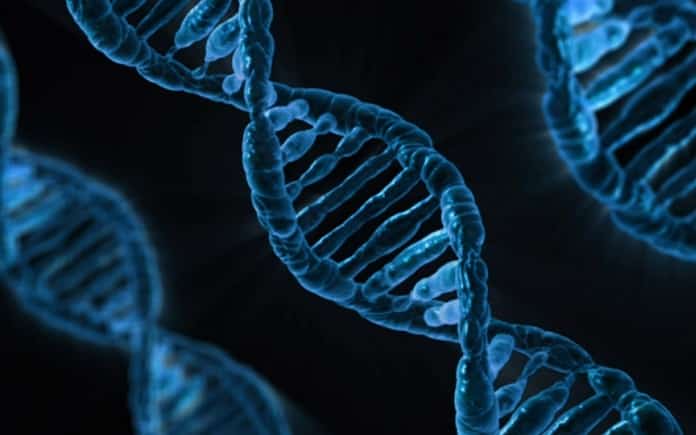 ADN biotecnologia genoma