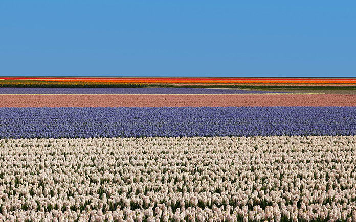 Holanda España AgroTech