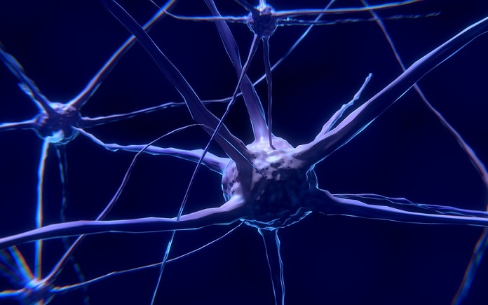 neuronas Alzheimer