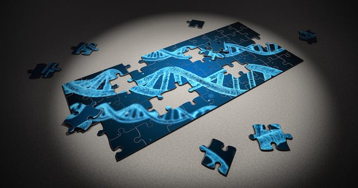 Para iniciar el proceso de modificación, los científicos han usado una técnica de edición genética llamada nucleasas con dedos de zinc. Pixabay