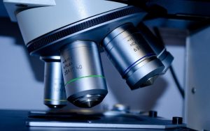 ayudas investigacion