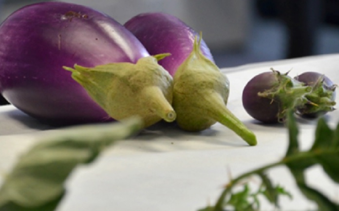verduras