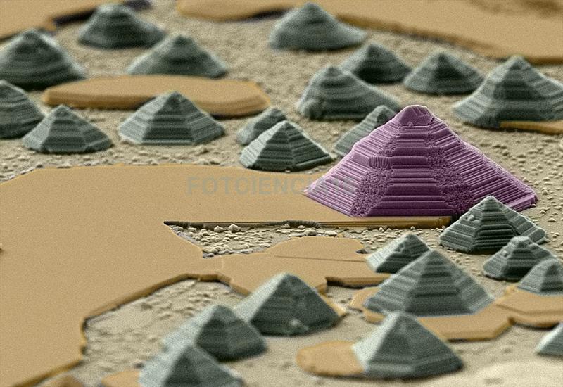 FOTCIENCIA 2017
