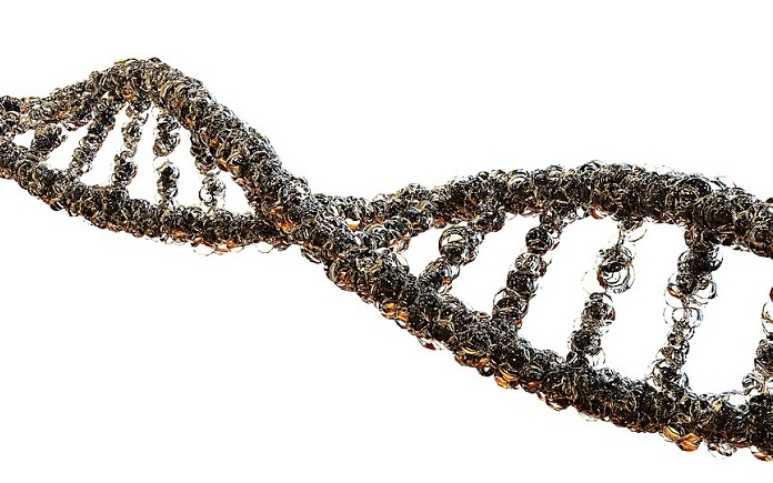 origen genes