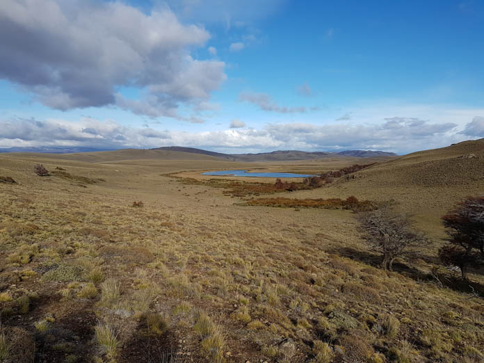 La bodega ha adquirido una finca de más de 5.000 hectáreas en la zona más austral de Chile