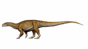 Ingentia prima se ha convertido en el dinosaurio gigante más antiguo