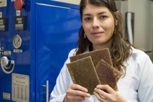 Académicos de la UdeG emplean almidón y microfibras para crear bioplásticos