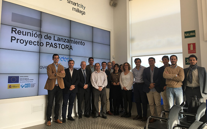 Proyecto Pastora Endesa