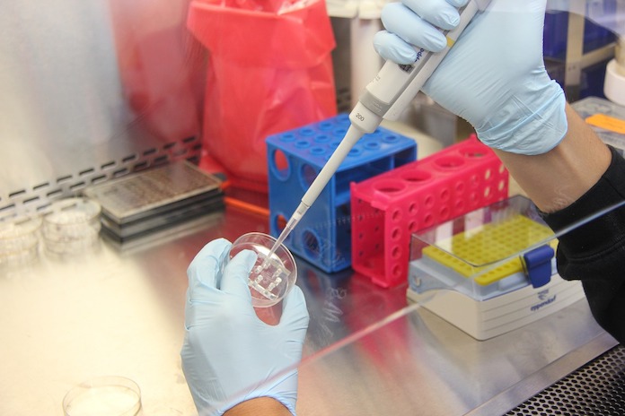 ciencia en laboratorio