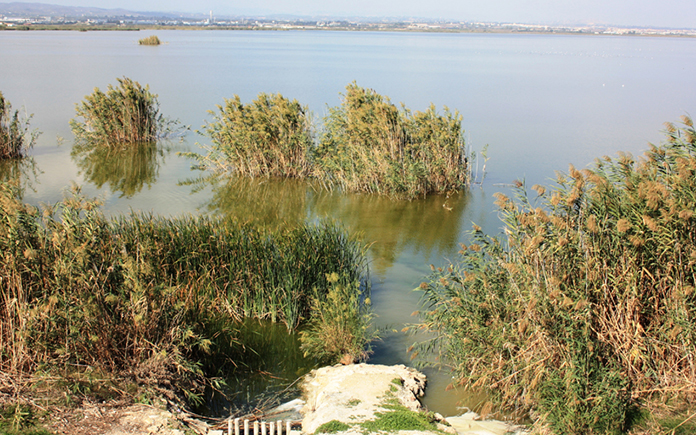la Albufera EcoSustain 1
