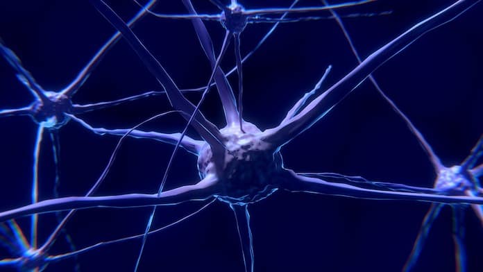 Neuronas dañadas por una enfermedad neurodegenerativa… que vuelven a activarse