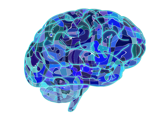 Investigación para comprender cómo consigue el cerebro recordar mejor los sucesos excepcionales