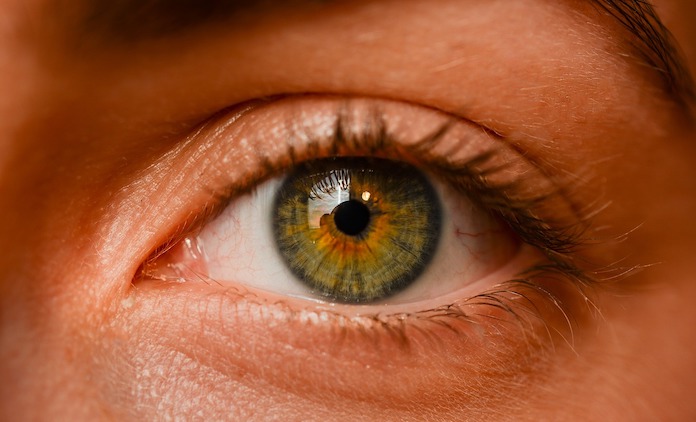 detección alzhéimer en la retina
