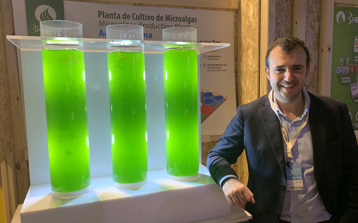 joaquin pozo microalgas COP25 Biorizon Biotech