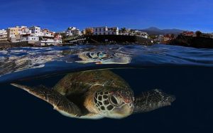 canarias turismo sostenible