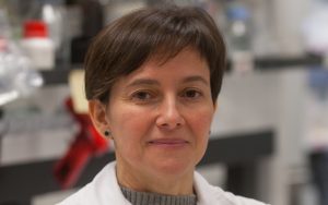 Gloria González Aseguinolaza Cima