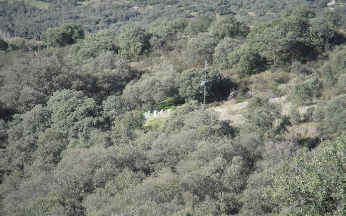 proyecto Modico Ciemat bosques