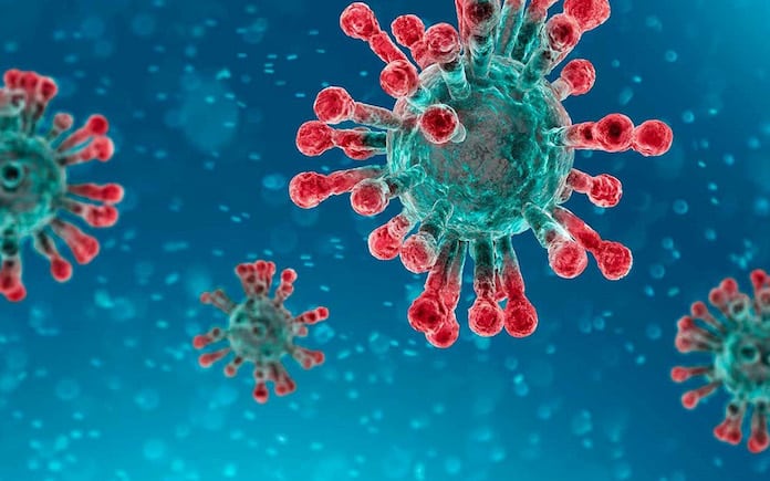 Un fármaco contra el mieloma logra frenar un coronavirus humano