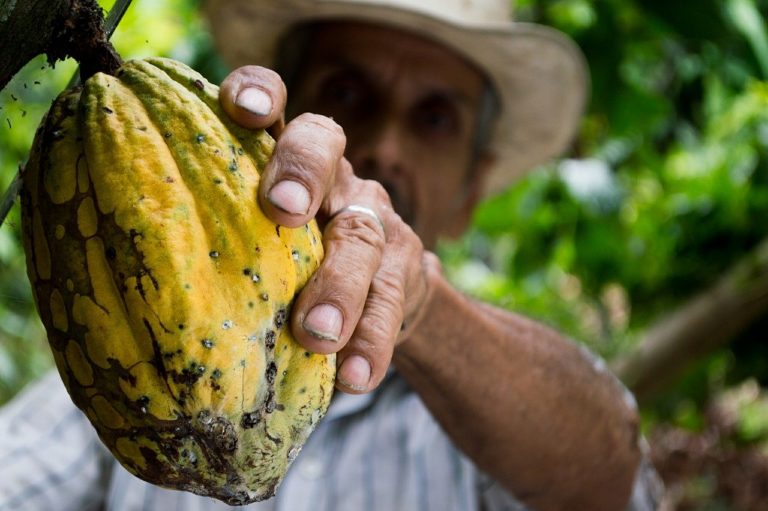 Colombia resiliencia crisis coronavirus