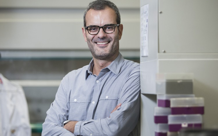 salvador aznar IRB ICREA Ona cancer metastasis