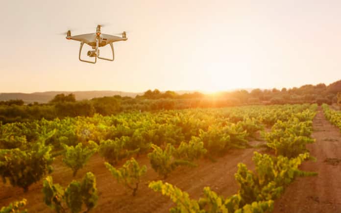 Ribera del Duero mejorará sus vinos gracias a la Inteligencia Artificial