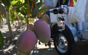 agricultura 5g