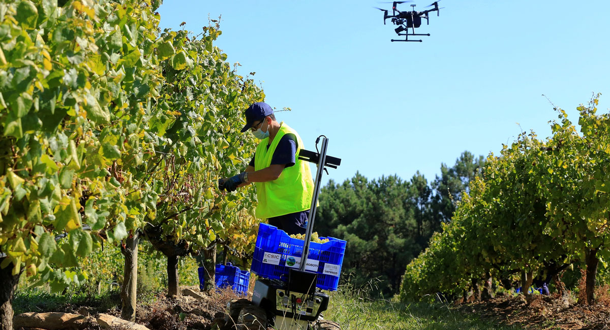 robot robert csic hector montes vendimia transfiere malaga