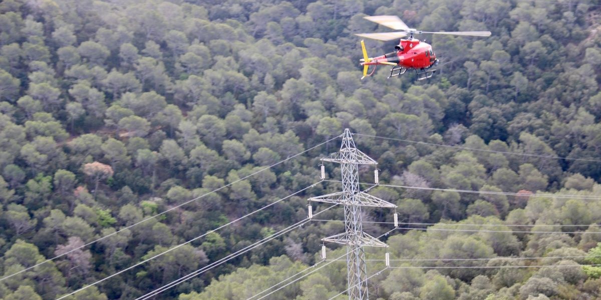 Helicópteros, drones, termografías: así se protege un bosque de cara al verano