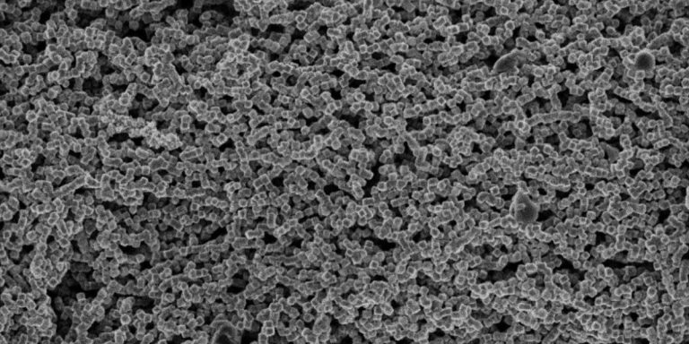 electronica biodegradable ICMM