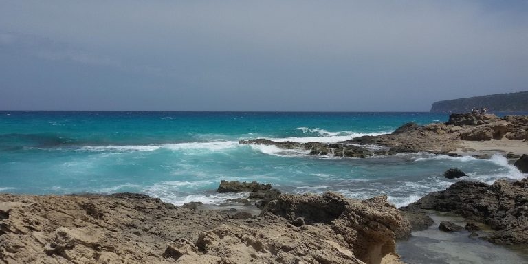 formentera biodiversidad