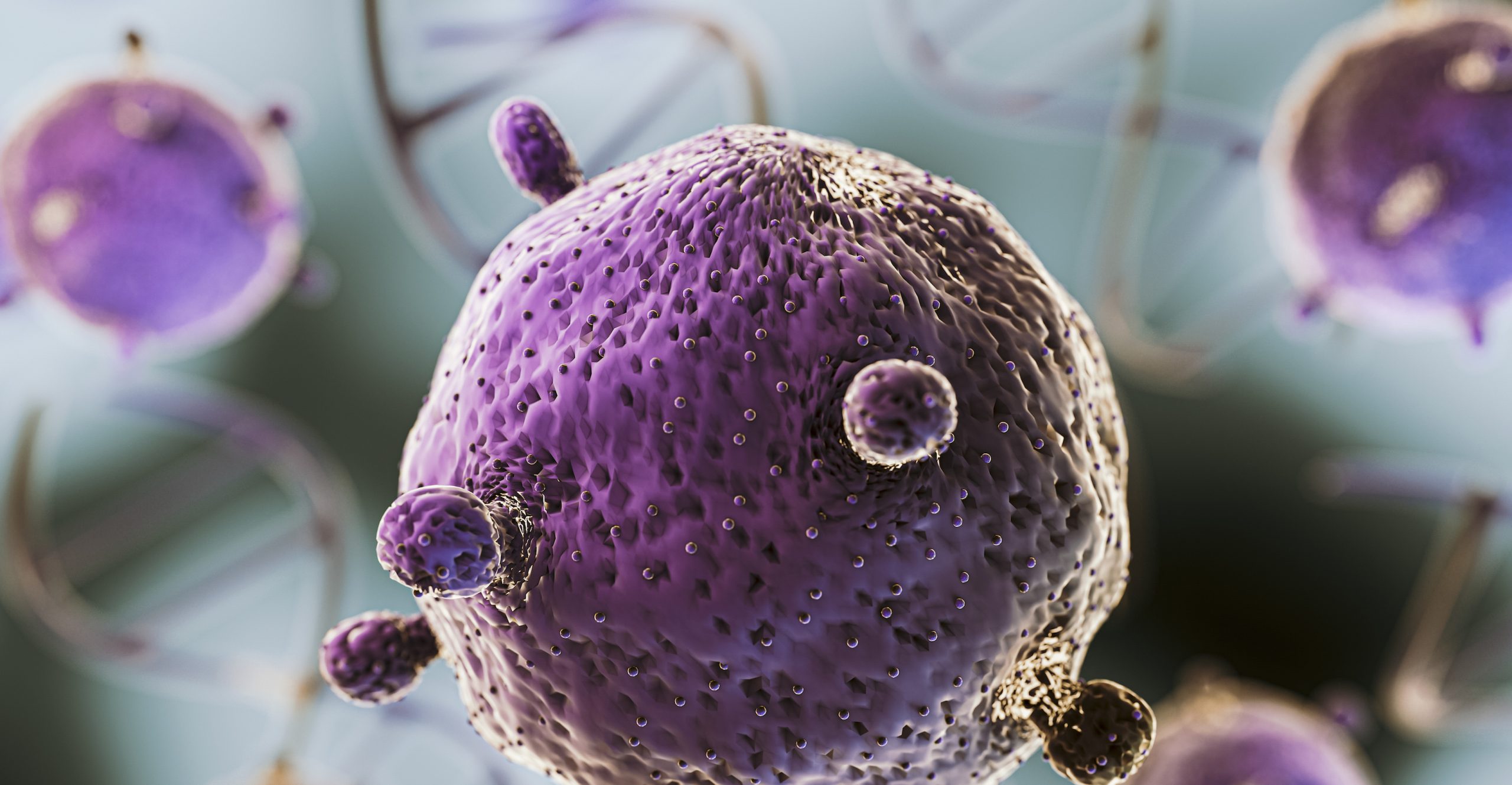 digestivos microbiota