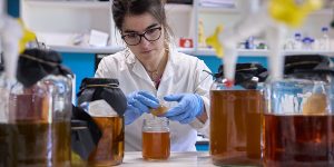 ISFOOD una fermentación alimentación navarra