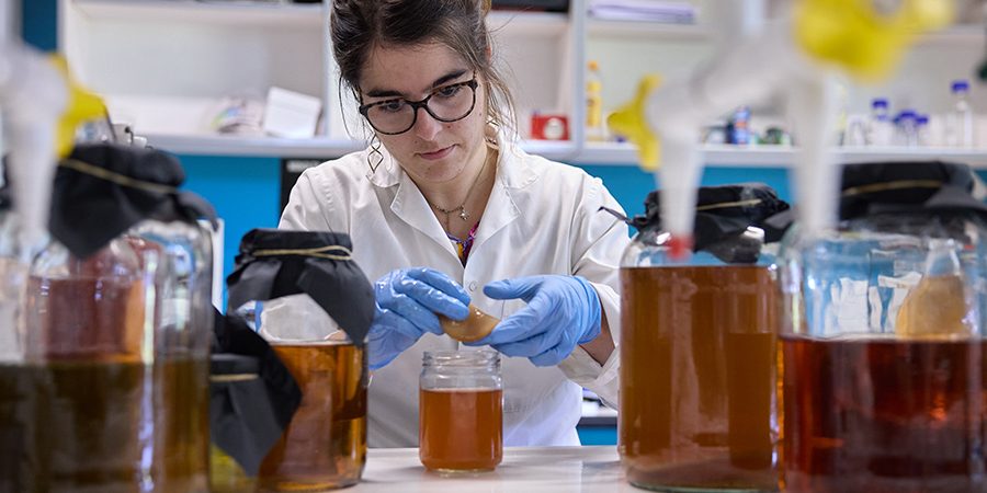 ISFOOD una fermentación alimentación navarra