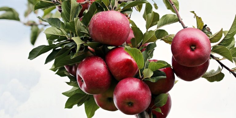 manzana iberdrola