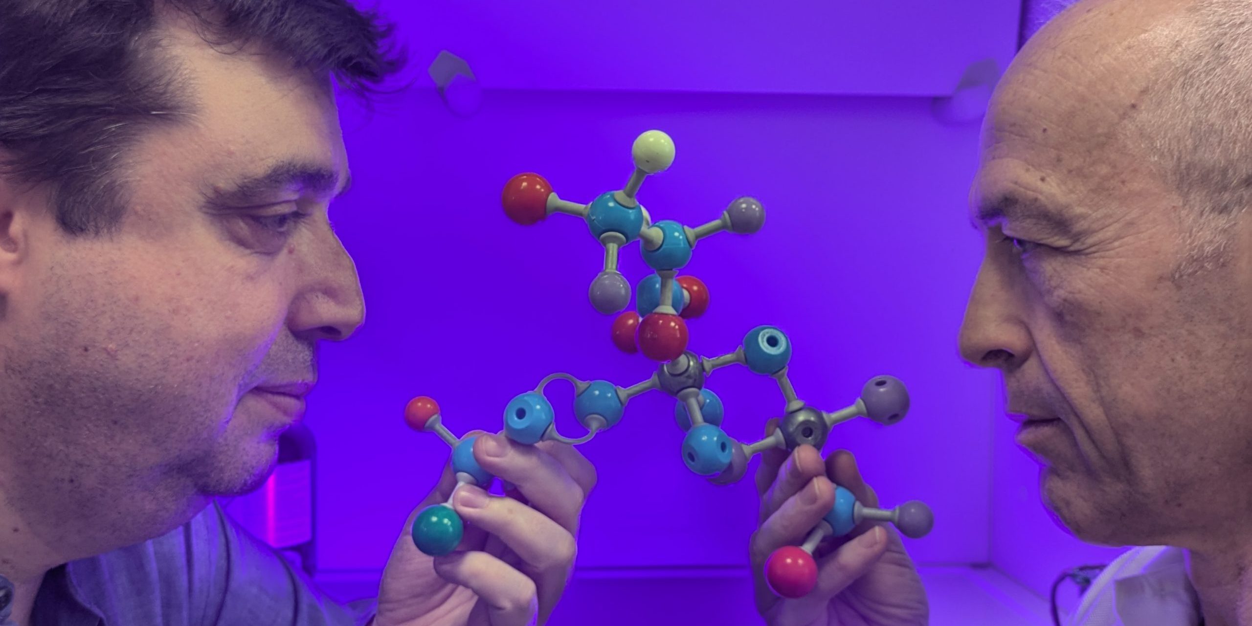 Molecular esterilización Universidad Jaume I carlos estévez candida aurius