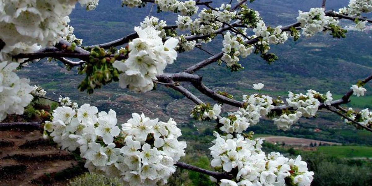 la vera extremadura