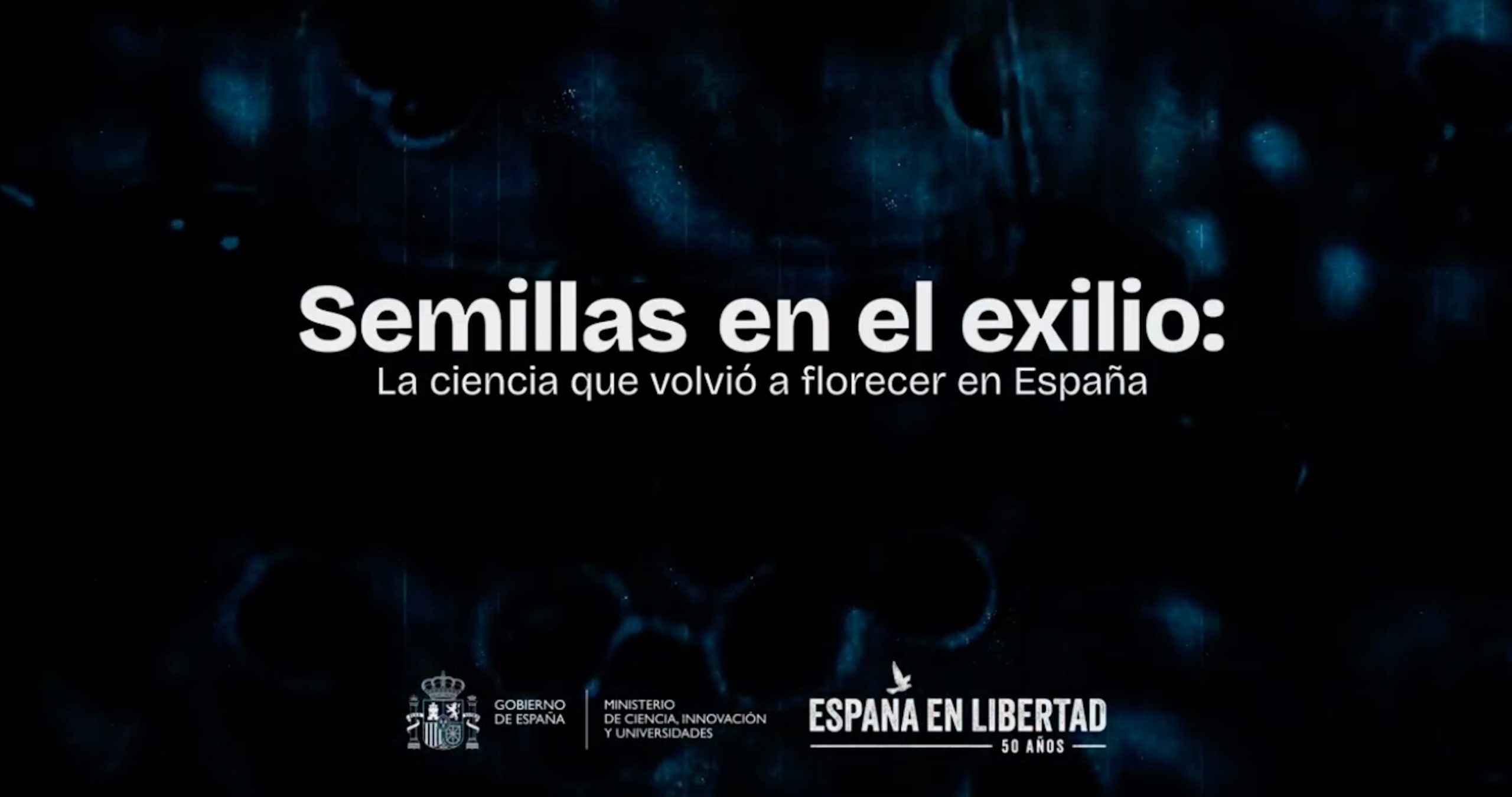 miciu semillas