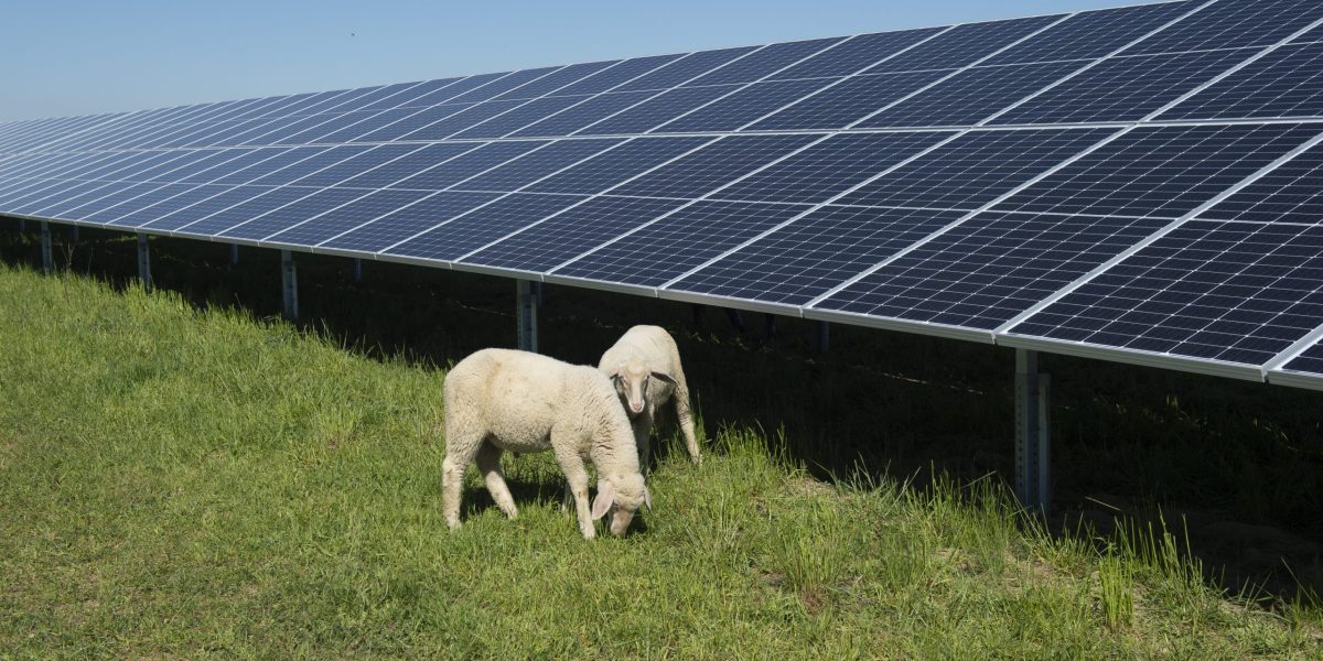 unef energía fotovoltaica autoconsumo