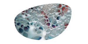 Thor regeneración tejidos UPm nuevos materiales