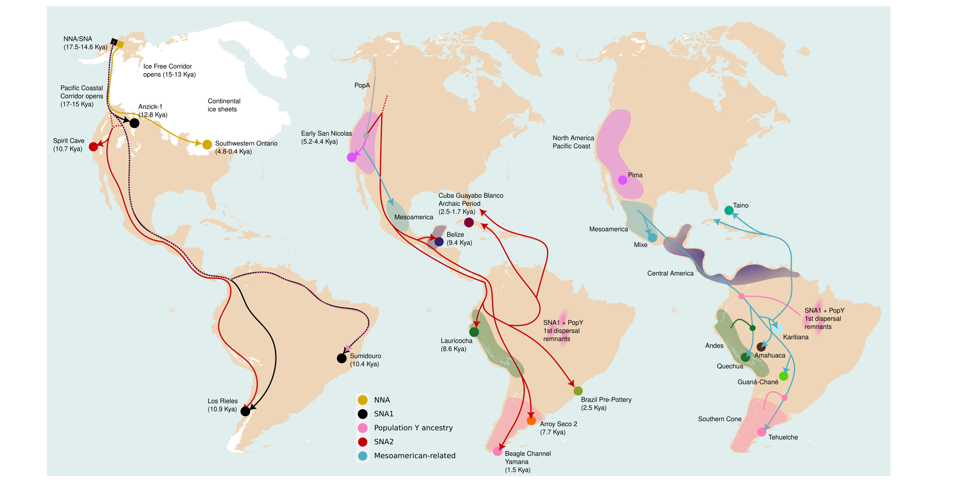 genética indígenas americanos américa ADN IBE CSIC UPF