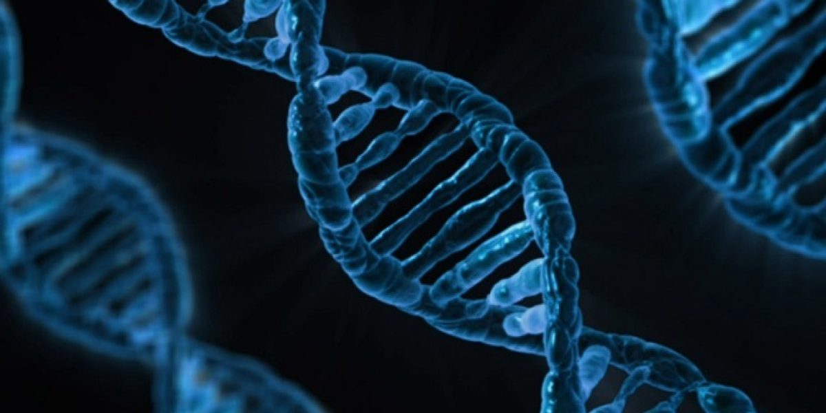 ADN biotecnologia genoma