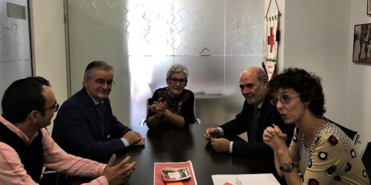 Reunión inicial de AVI y Cruz Roja de cara a constituir un comité de innovación contra la soledad no deseada.